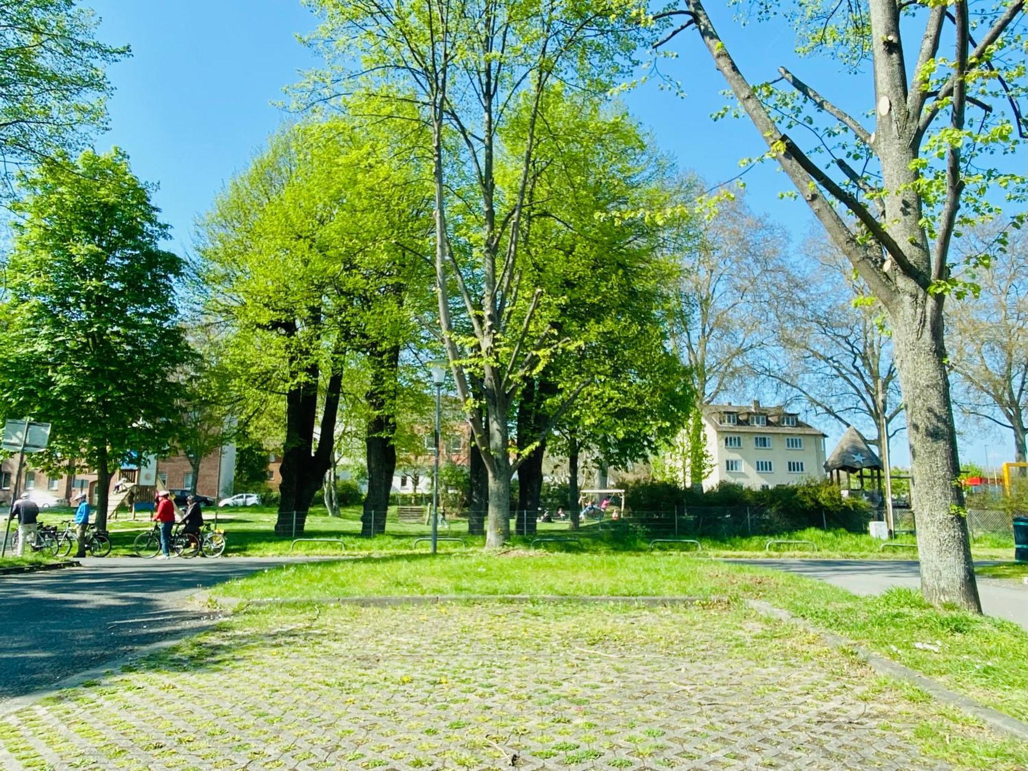 Kassel: Alles, Was Du Brauchst! المظهر الخارجي الصورة