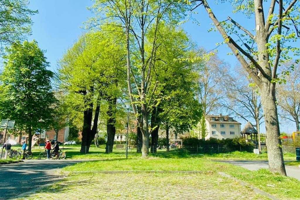 Kassel: Alles, Was Du Brauchst! المظهر الخارجي الصورة